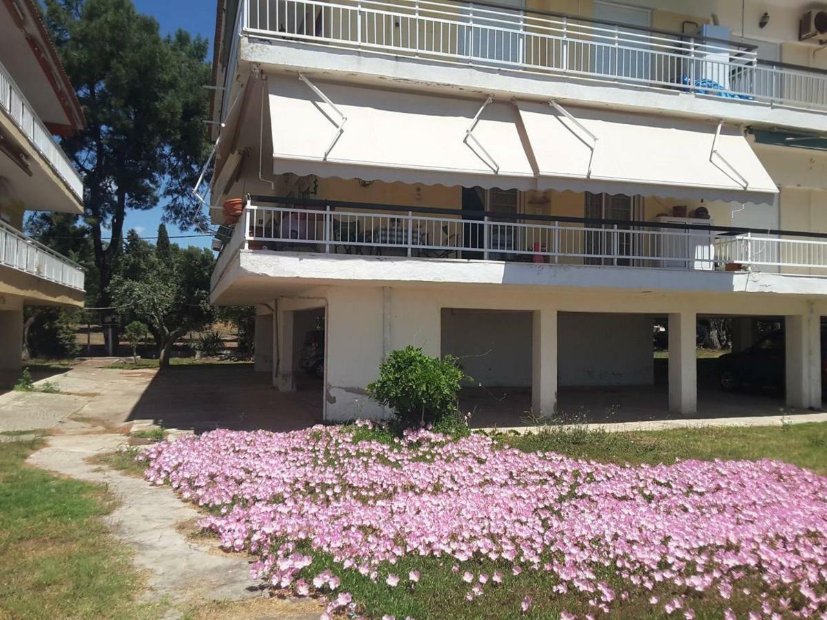 Metamorphosis - Halkidiki Apartment On The Beach Metamórfosi Eksteriør bilde
